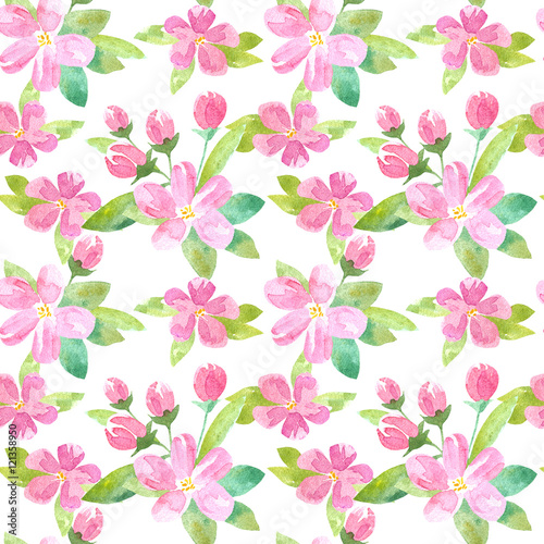 Floral seamless pattern with apple flowers and buds.Watercolor hand drawn illustration.White background.