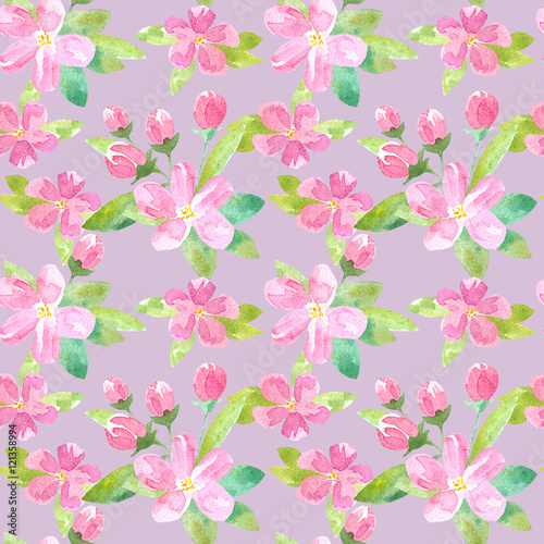 Floral seamless pattern with apple flowers and buds.Watercolor hand drawn illustration.Pink background.