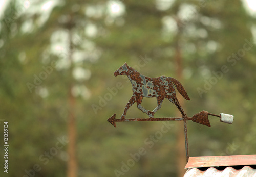 Weather vane