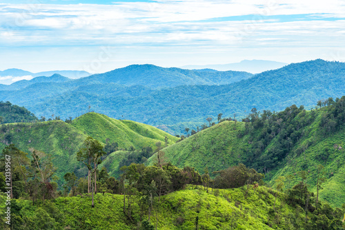 Green forest on mountain range landscape with blue and cloudy sky