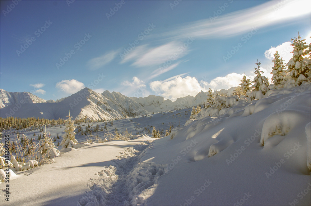 Beautiful winter mountain landscape. Tatry
