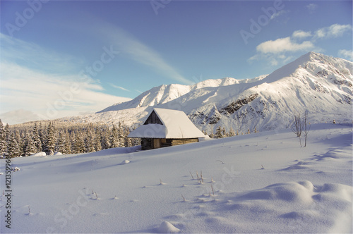 Beautiful winter mountain landscape. Tatry
