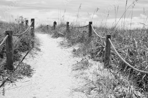 Slika na platnu Sandy pathway to Turtle Beach in Siesta Keys, Florida.