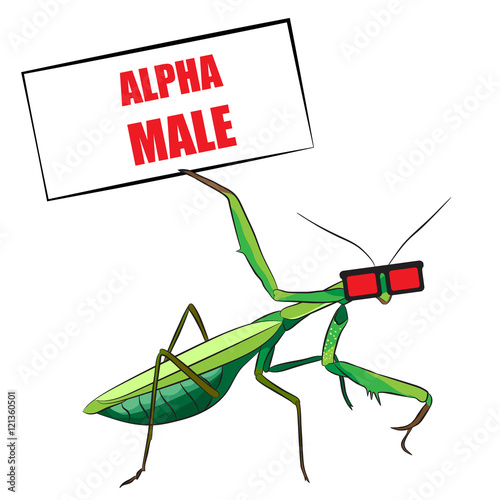 Praying mantis. Funny vector illustration. T-shirt design.