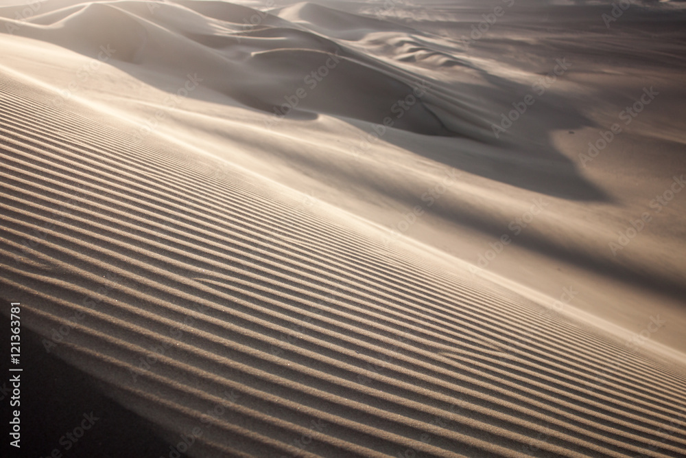 Obraz premium Wüste