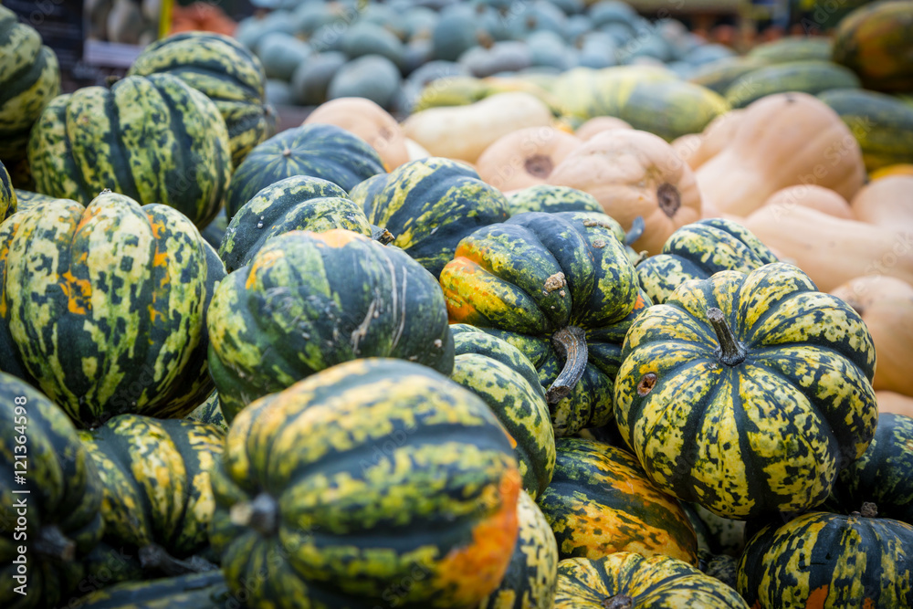 Pile of big green pumpkins, natural background