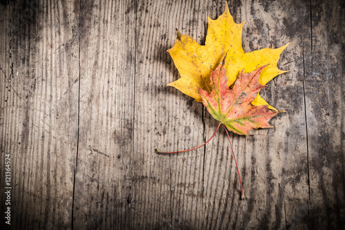 grunge wooden background with two yellow leaves