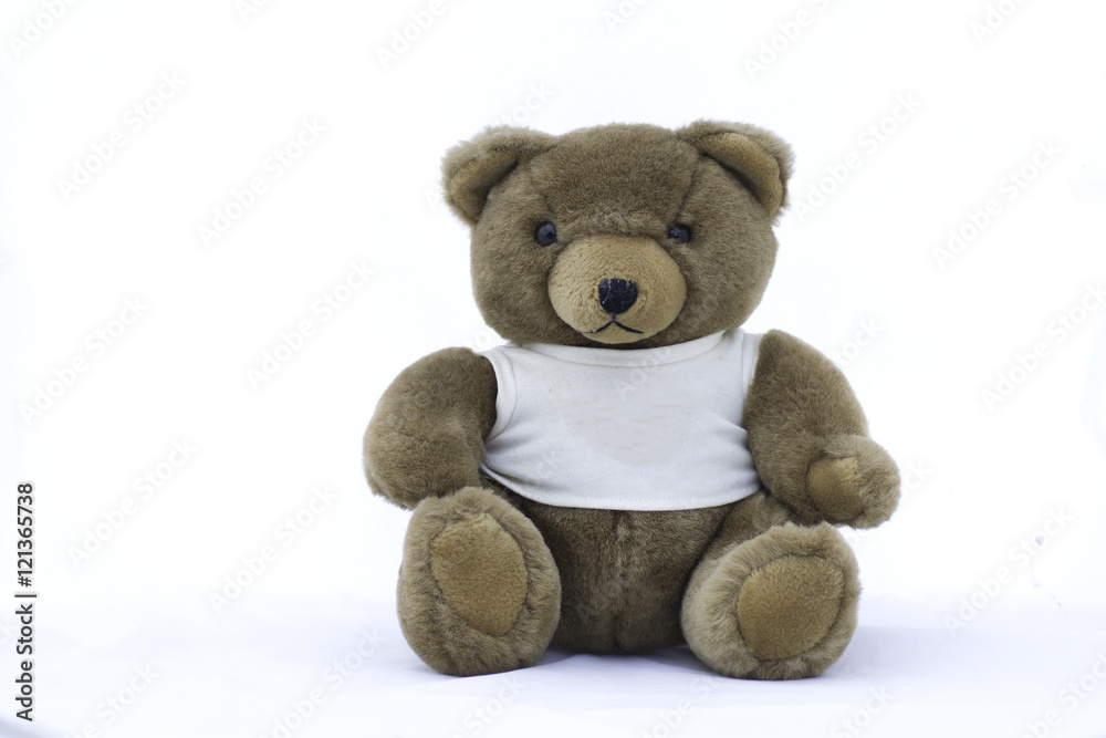 Obraz premium soft toy teddy bear on white background.