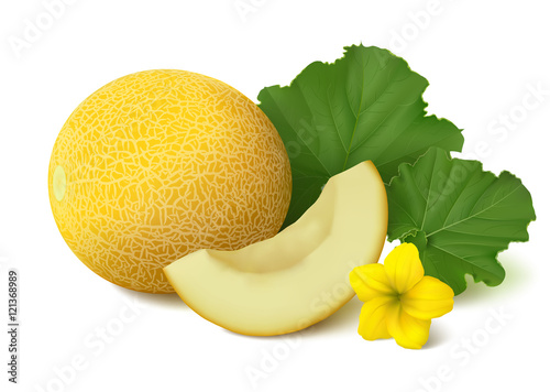 Galia melon on white background