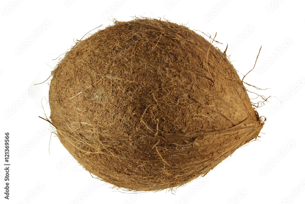 Coconut Coconut