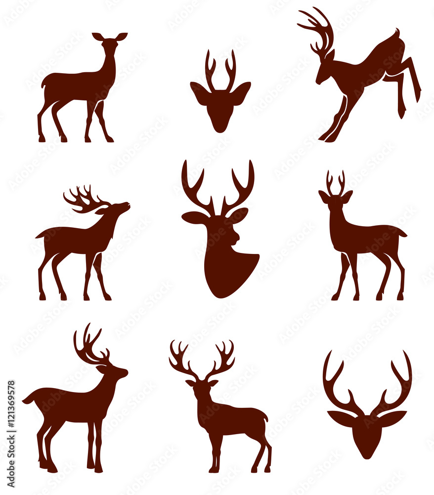 Fototapeta premium Black silhouettes of different deer horns.