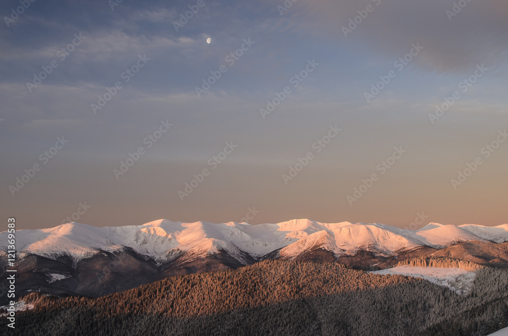Gorgeous winter morning in the mountains with a view of pine-textured slopes and a partial moon above the distant snowy ridge