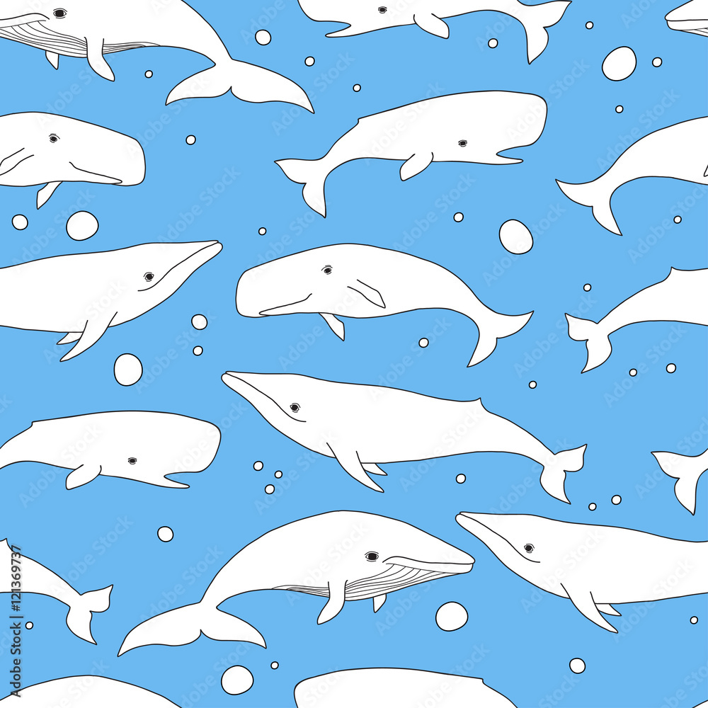 Cartoon vector sea whale and sperm whale seamless pattern. Vecto Cartoon vector sea whale and sperm whale seamless pattern. Vecto