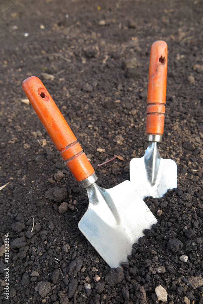 Garden hand trowels in the loosen soil in the garden Garden hand trowels in the loosen soil in the garden