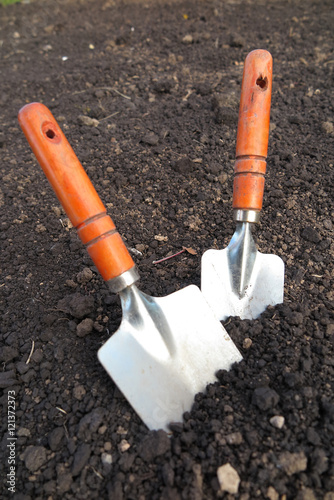 Garden hand trowels in the loosen soil in the garden