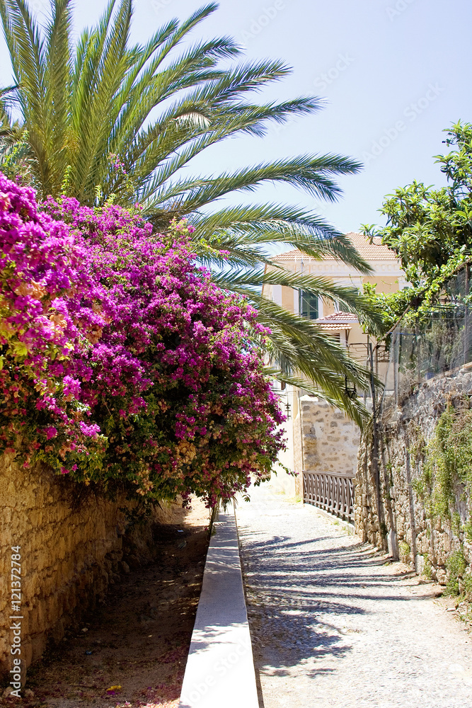 Obraz premium Rhodes