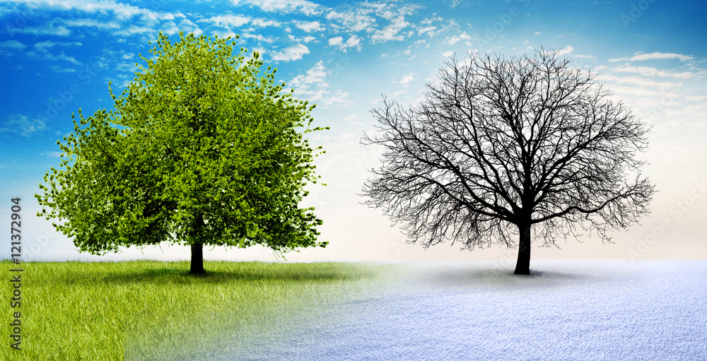 Sommer winter Stock Foto Adobe Stock Sommer winter Stock Foto Adobe Stock