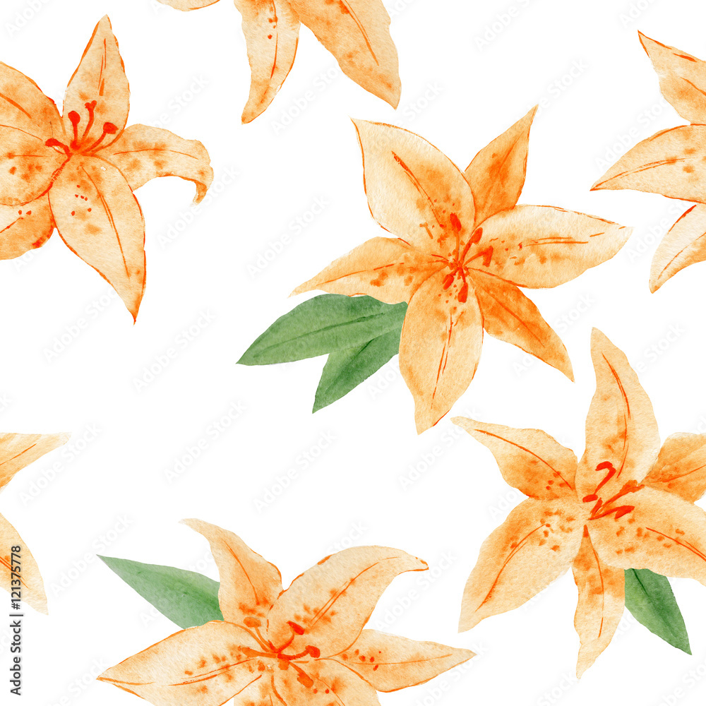 Obraz premium watercolor pattern of orange liliy flowers on white illustration