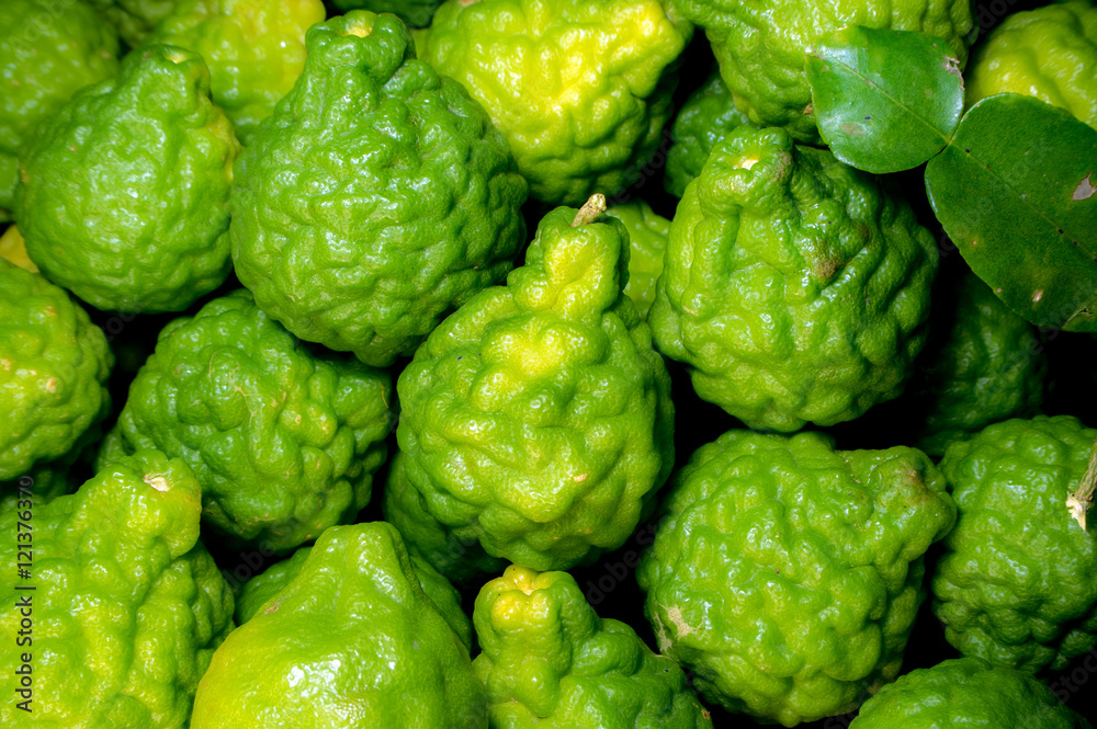 freshness Bergamot Peel shiny green freshness Bergamot Peel shiny green