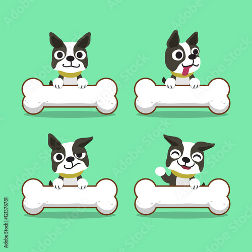 Cartoon character boston terrier dog with big bones