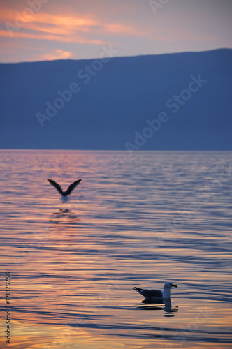 Baikal Lake in sunset light, Russian Federation © Rechitan Sorin