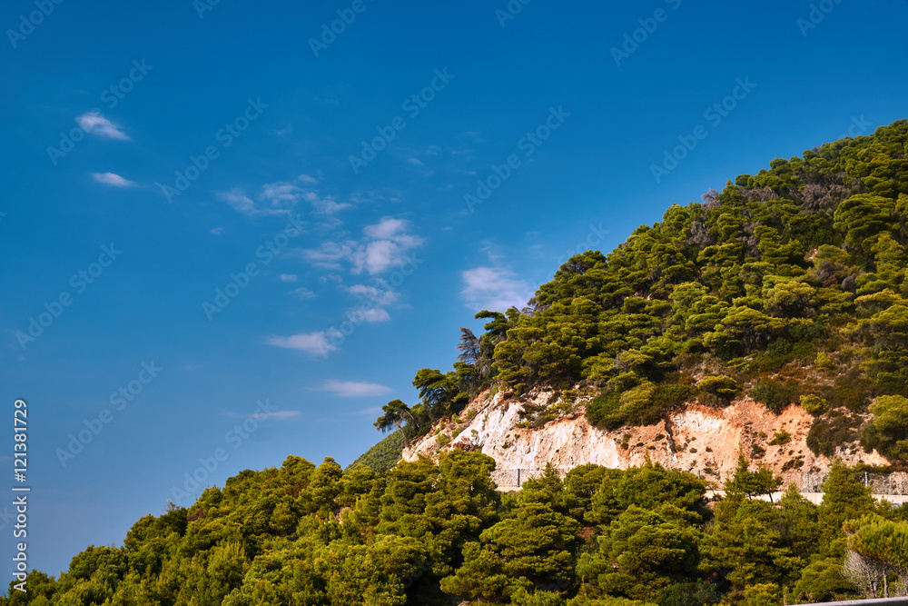 The seaside cliff covered with pine forest on the island of Lefkada.