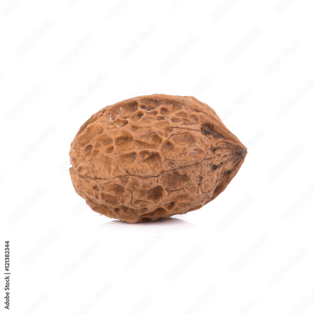 walnut isolated on the white background walnut isolated on the white background
