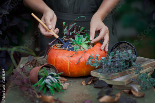 Beautiful fall bouquet in a vase from pumpkin. Preparation for Halloween in the garden. Selective focus.