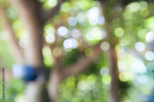 blurred of fresh healthy green bio background with abstract blur photo