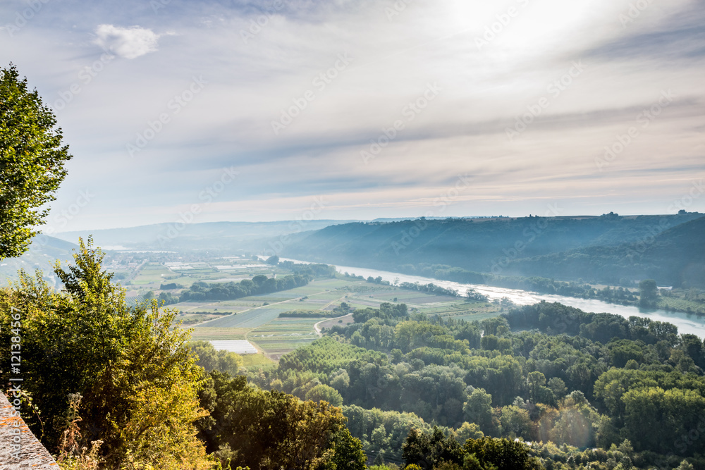 Panorama sur les champs de  vignes et la vallée du Rhône