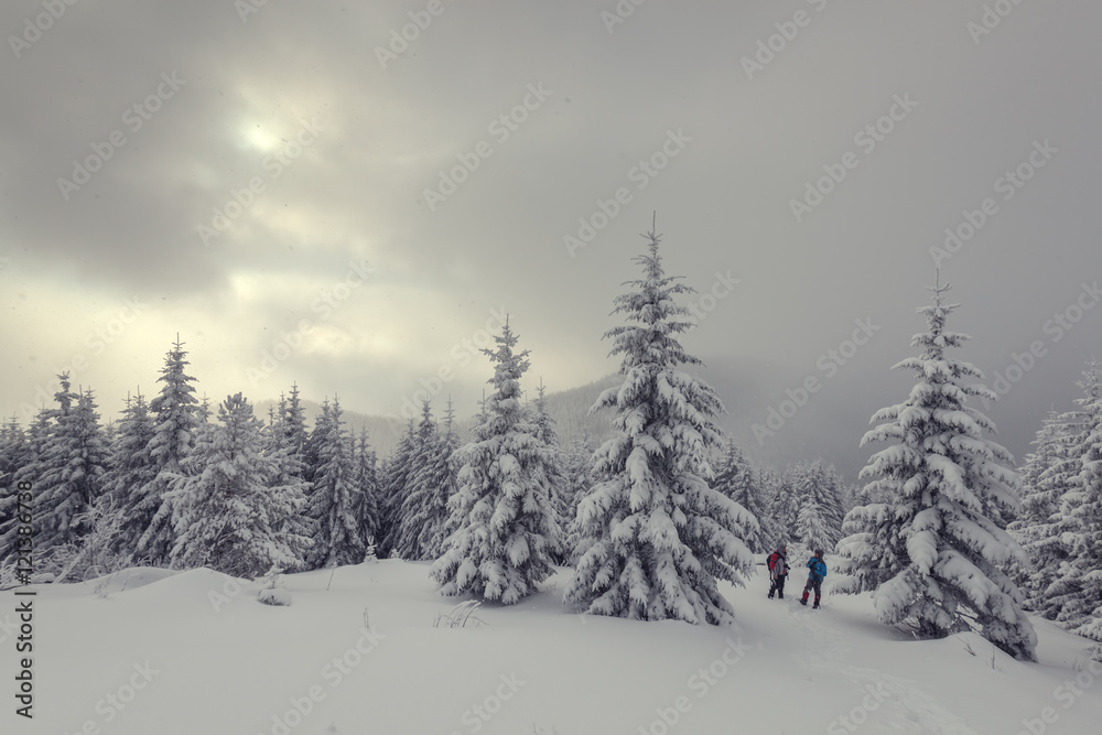 Fototapeta premium landscape