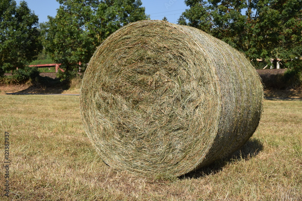 Strohballen liegen auf dem abgeernteten Acker Strohballen liegen auf dem abgeernteten Acker
