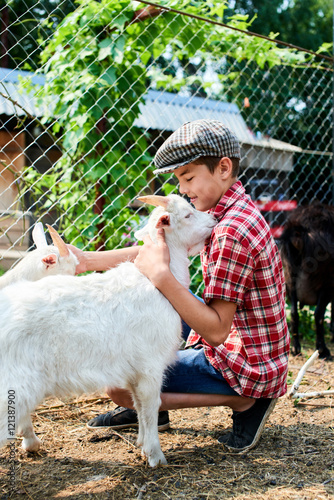 The boy in the cap is petting a baby goat at the farm