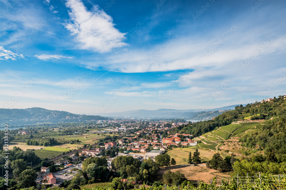 Panorama sur les champs de  vignes et la vallée du Rhône