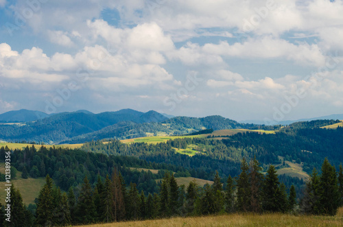 Fototapeta Naklejka Na Ścianę i Meble -  Carpathian mountains in the west part of Ukraine