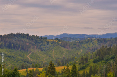 Carpathian mountains in the west part of Ukraine © thaarey1986