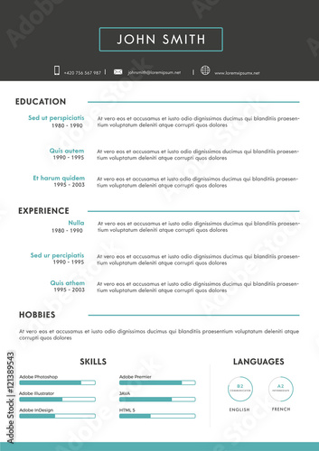 Luxury personal vector resume - cv template
