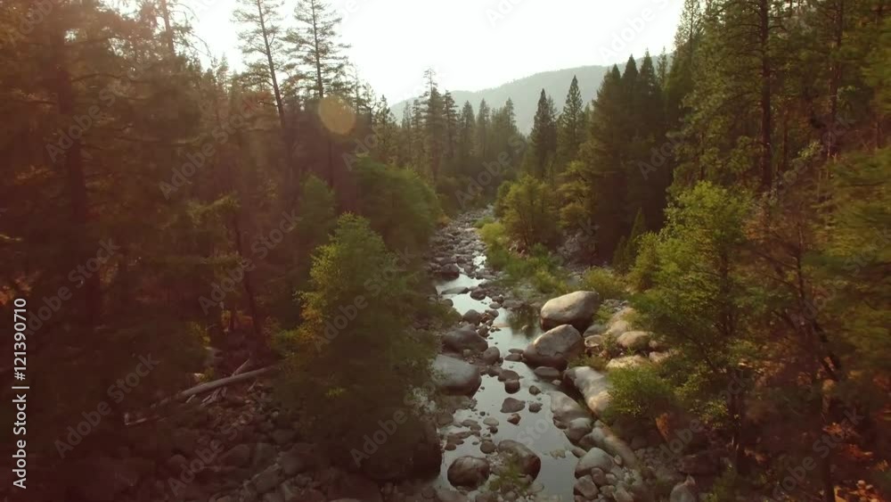 Aerial view flying over a creek/stream winding through a forest in the Sierra National Forest in California. Late afternoon, close to sunset with lens flare.