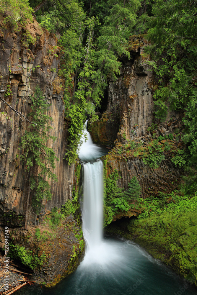 Fototapeta premium Toketee Falls in Oregon