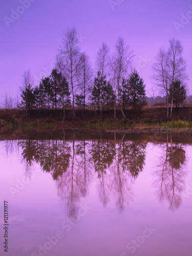 Wild nature in the autumn season