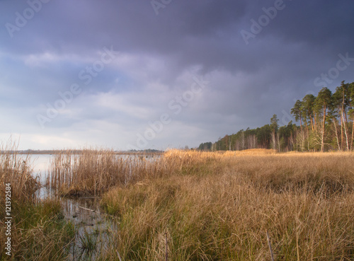 Wild nature in the autumn season