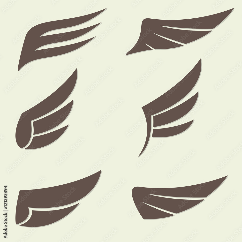 Wings set. Vector illustration of different bird wings.