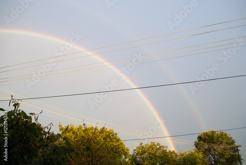 Double rainbow over forest
