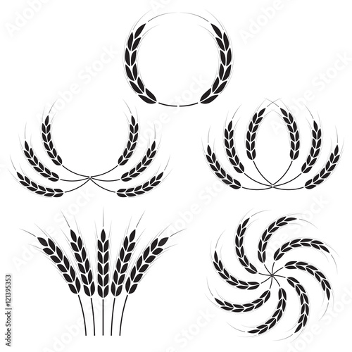 Wheat ears or rice icons set. Agricultural symbols isolated on white background. Design elements for bread packaging or beer label. Vector illustration.