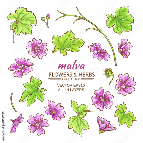 malva elements vector set