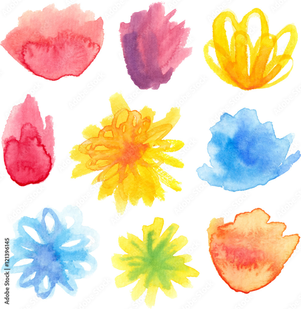 Vector set of bright watercolor painted  floral blossoms