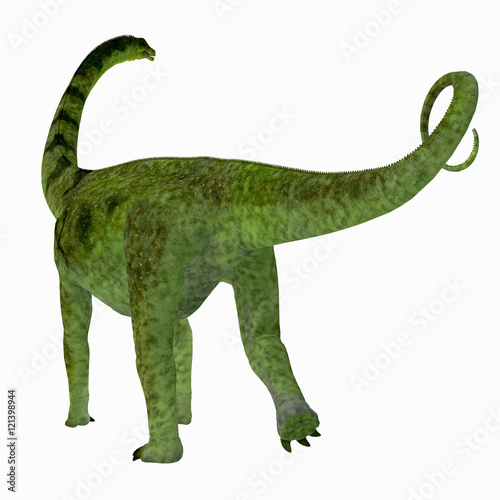 Puertasaurus Dinosaur Tail - Puertasaurus was a herbivorous sauropod dinosaur that lived in Patagonia in the Cretaceous Period.