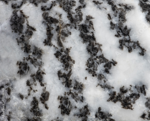 Surface of natural mineral zebra jasper. © arkstart