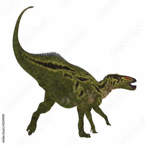 Shantungosaurus Dinosaur Tail - Shantungosaurus was a herbivorous Hadrosaur dinosaur that lived in China in the Cretaceous Period. © Catmando