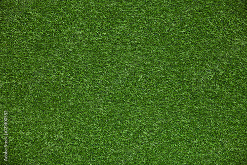 Background of green grass, green lawn texture